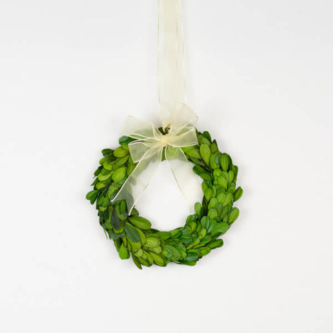 6" preserved boxwood wreath with ivory sheer ribbon