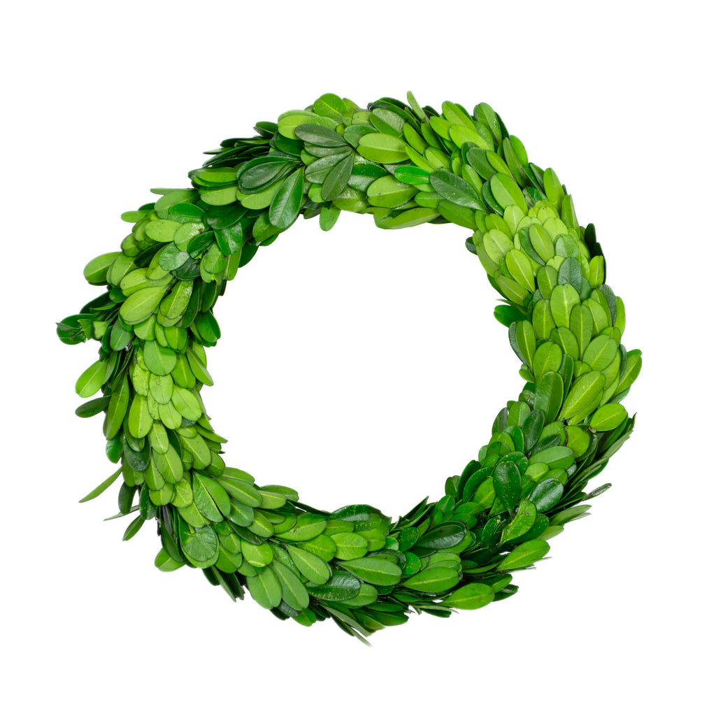 8" preserved boxwood wreath