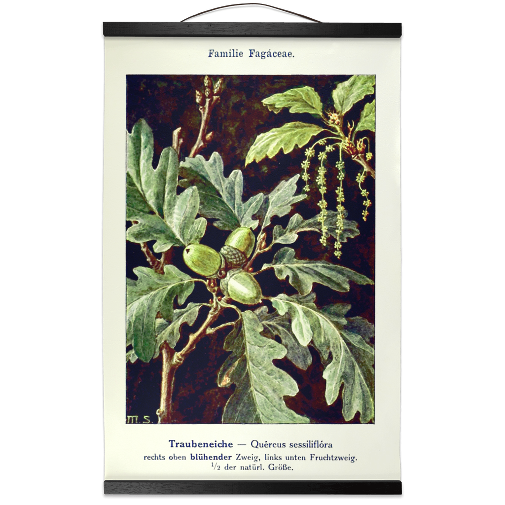 vintage oak leaf botanical hanging art