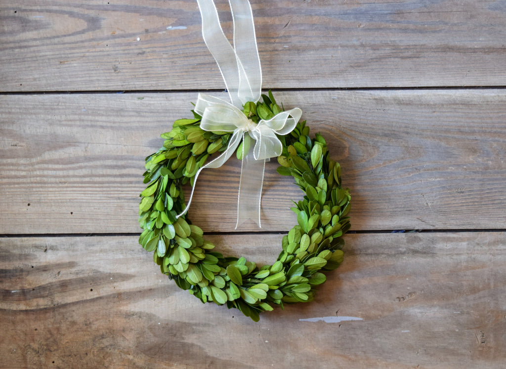 mini preserved boxwood wreath with ribbon