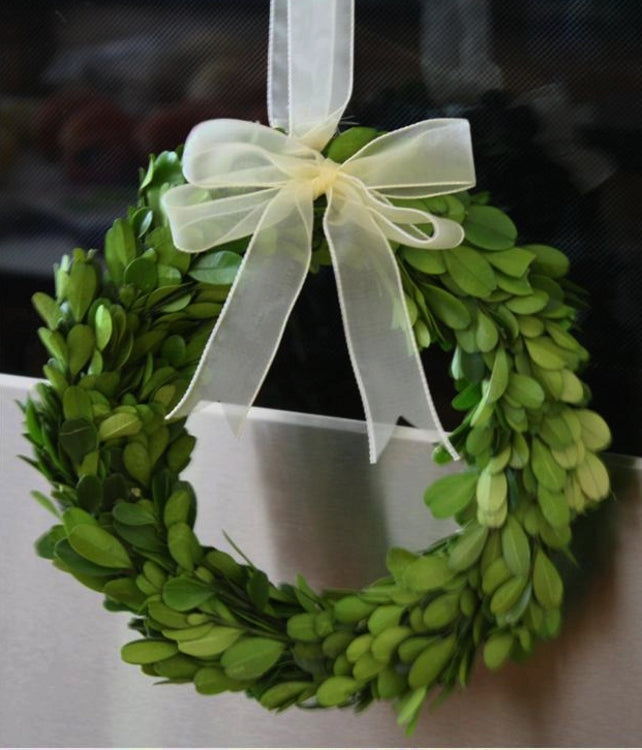 mini preserved boxwood wreath