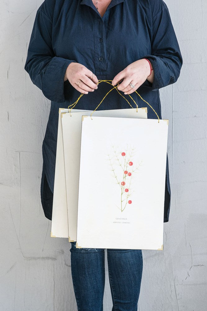 Christmas botanical vintage reproduction wall art