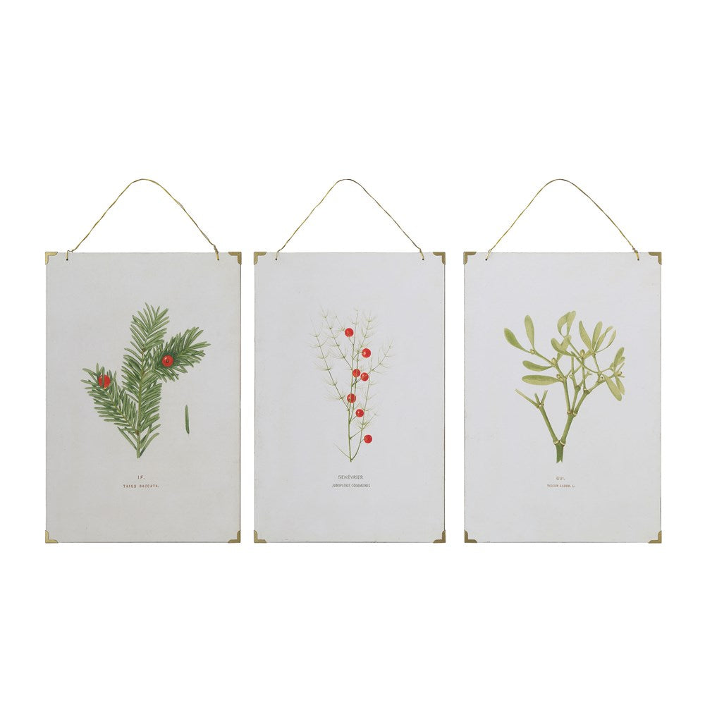Christmas botanical vintage reproduction wall art