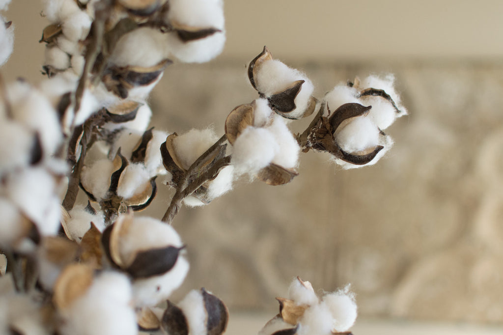 faux cotton stem