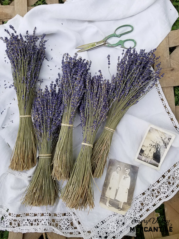 dried lavender bundles