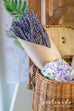 dried French lavender bundle