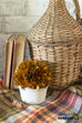 Limited Edition Fall Preserved Boxwood Topiary Ball in White Terra Cotta Pot