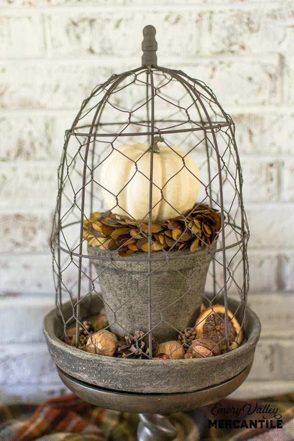terra cotta planter with chicken wire cloche