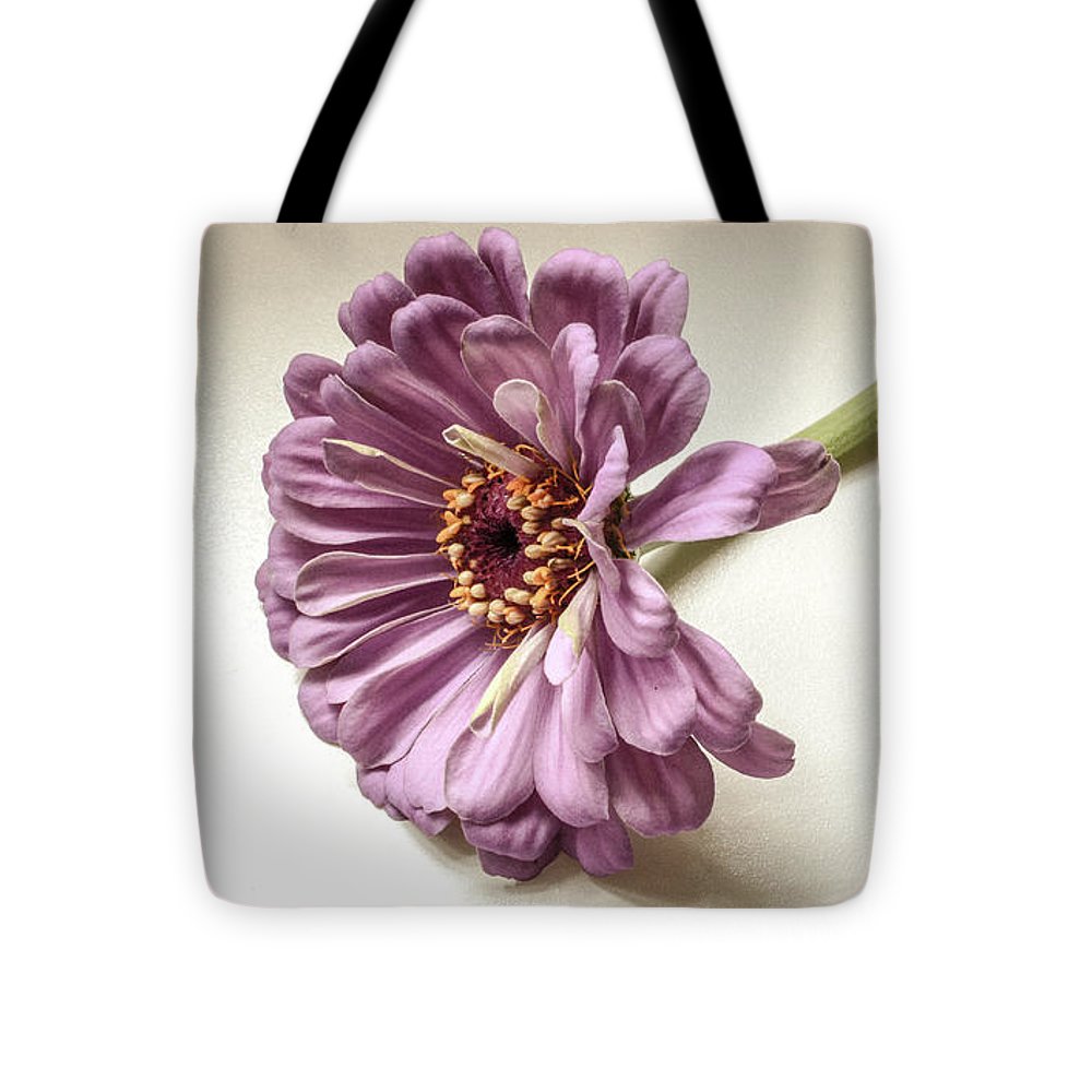 Gerber Daisy - Tote Bag