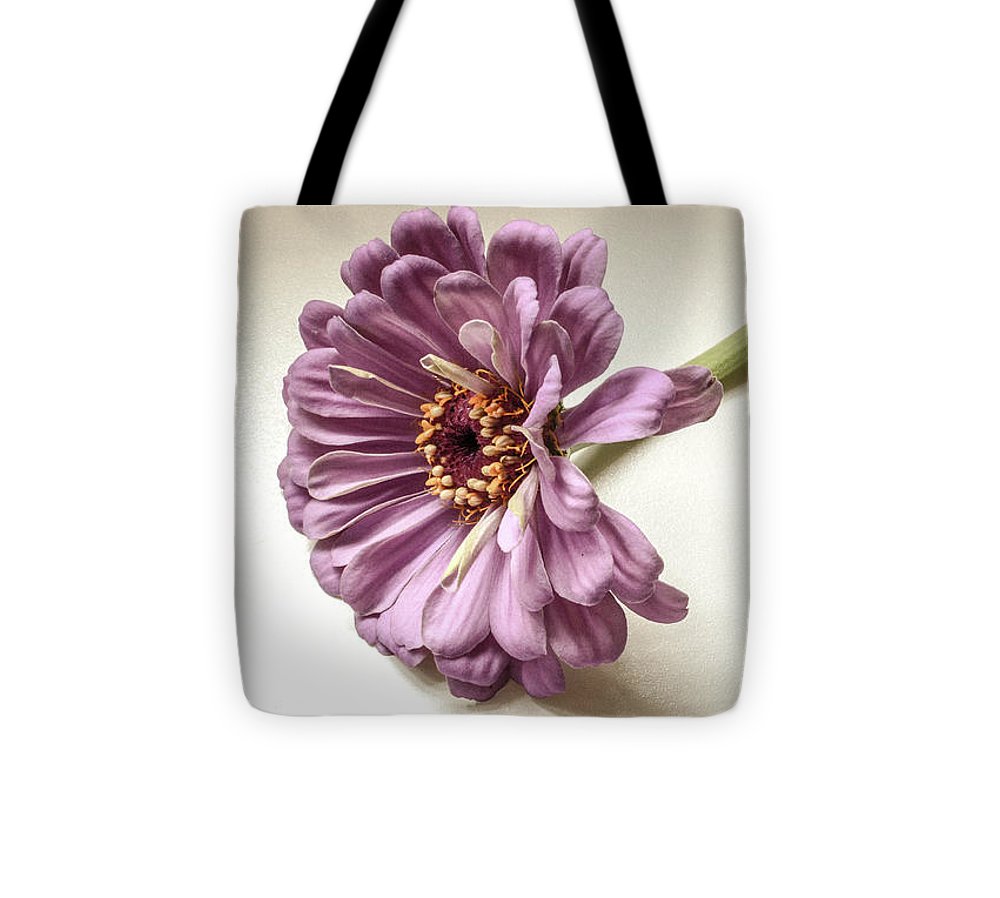 Gerber Daisy - Tote Bag