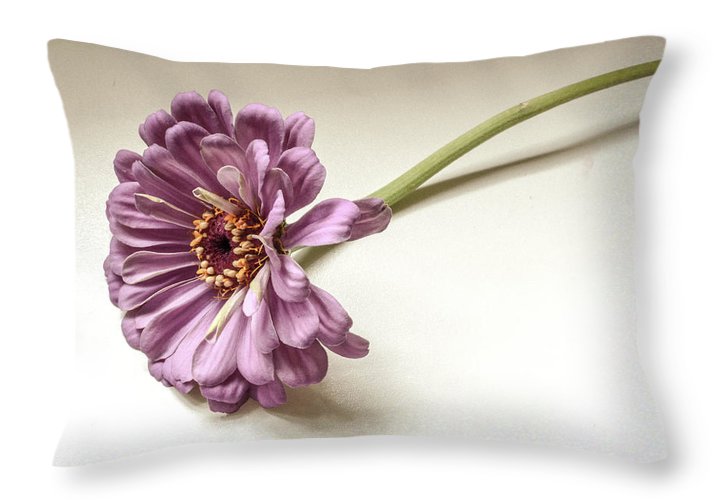Gerber Daisy - Throw Pillow