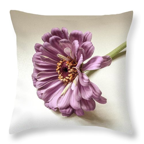 Gerber Daisy - Throw Pillow