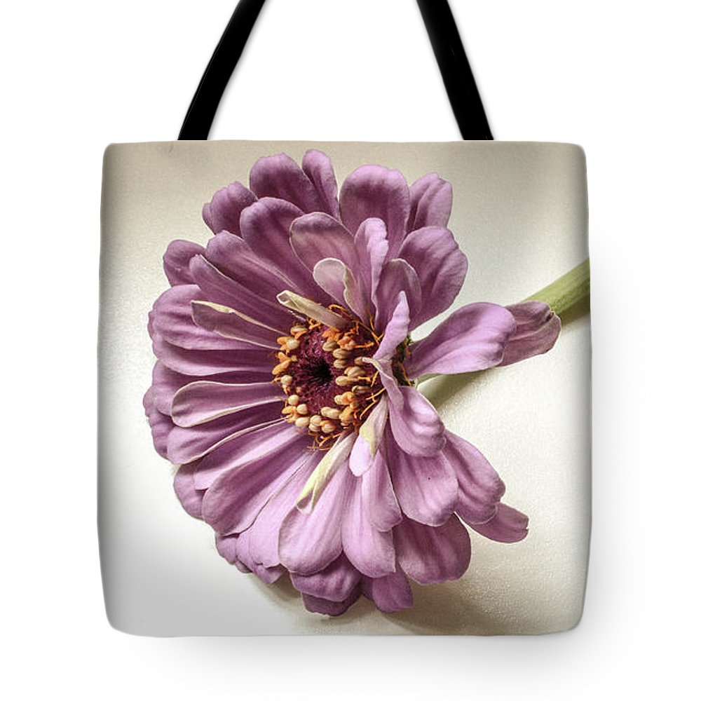 Gerber Daisy - Tote Bag