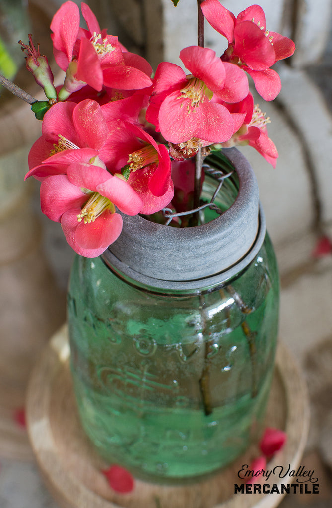 Pint Mason Jar with Flower Frog Lid