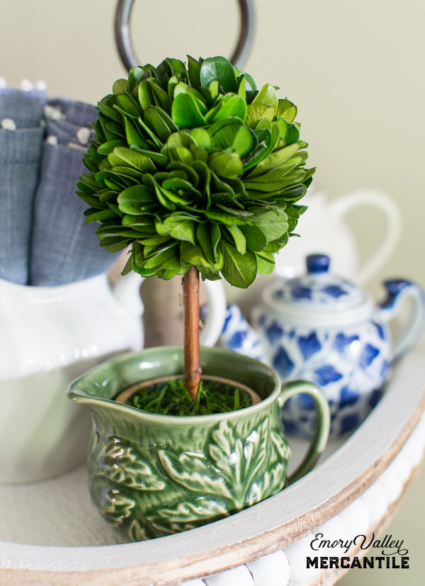 mini preserved boxwood topiary ball tree