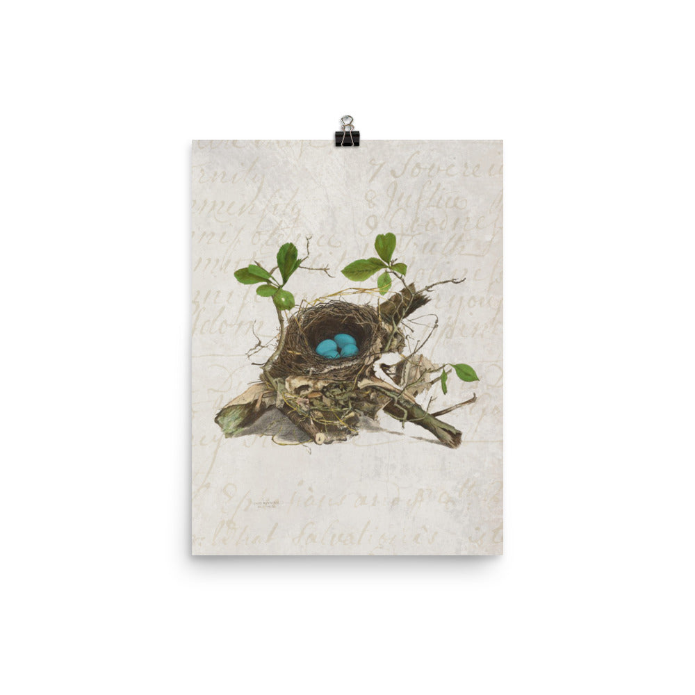 Antique Bird Nest Print
