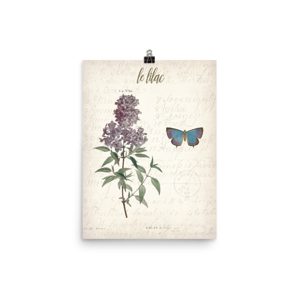 Vintage Lilac Botanical Art