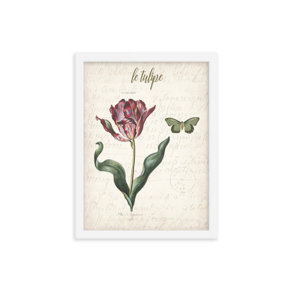 Framed vintage tulip botanical poster