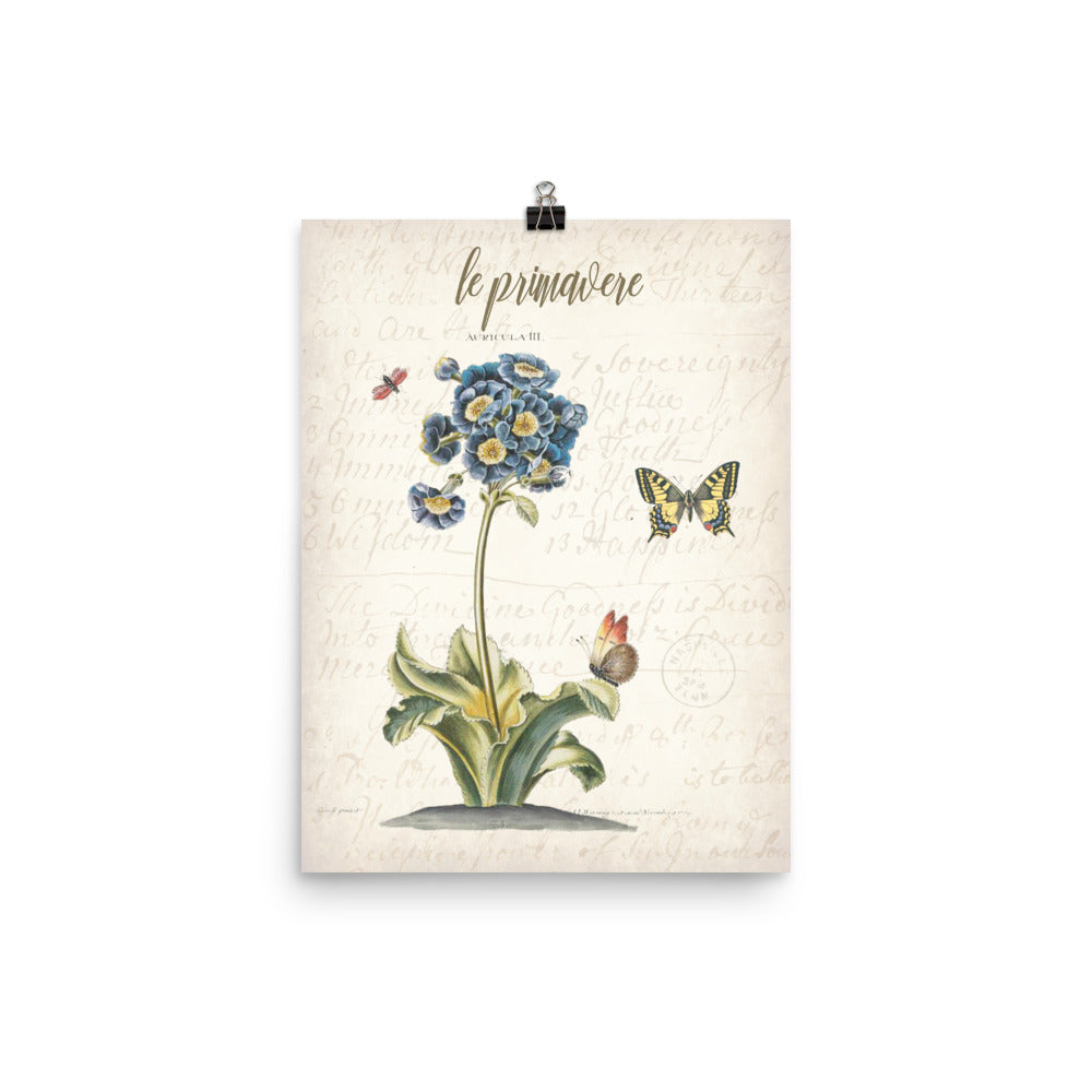 Vintage Primrose Botanical Art