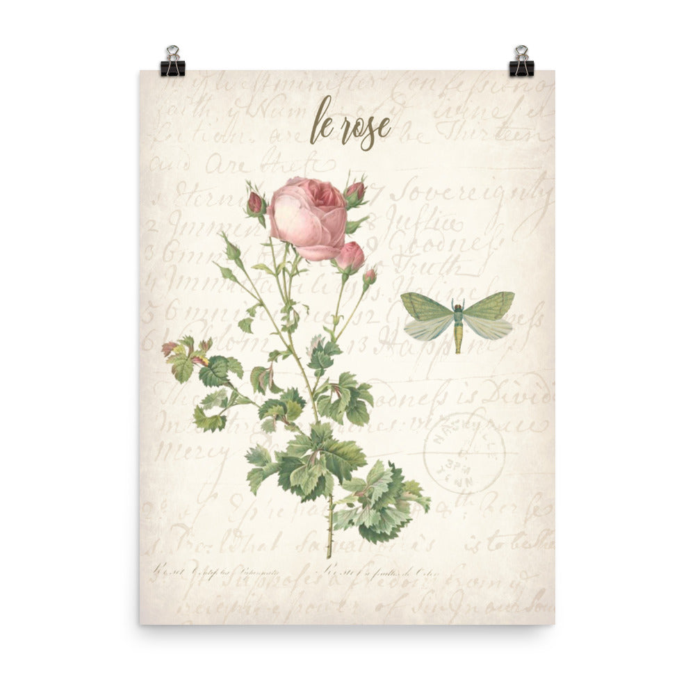 Vintage Rose Botanical Art