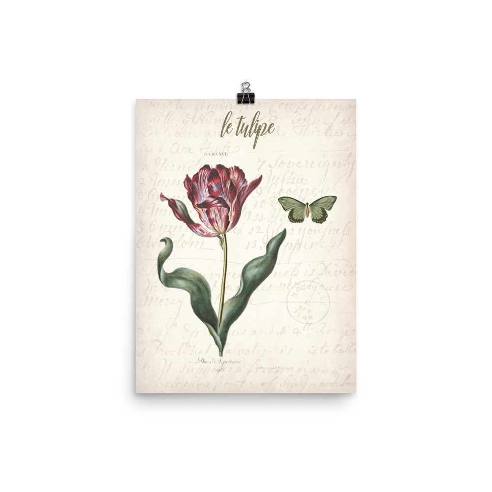 Vintage Tulip Botanical Art