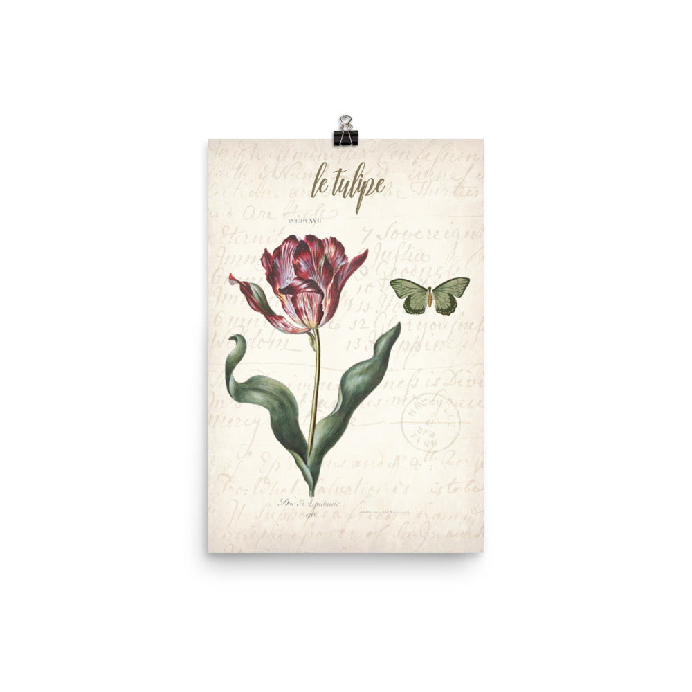 Vintage Tulip Botanical Art