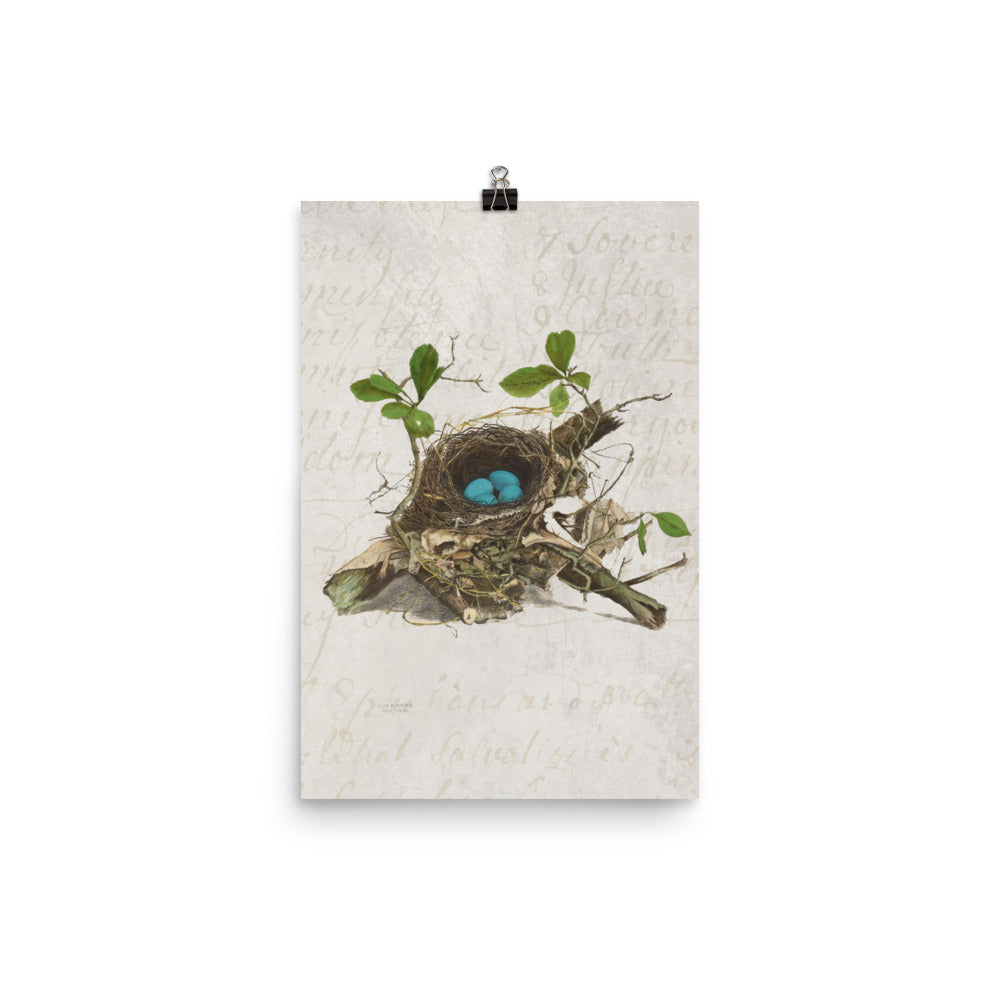 Antique Bird Nest Print