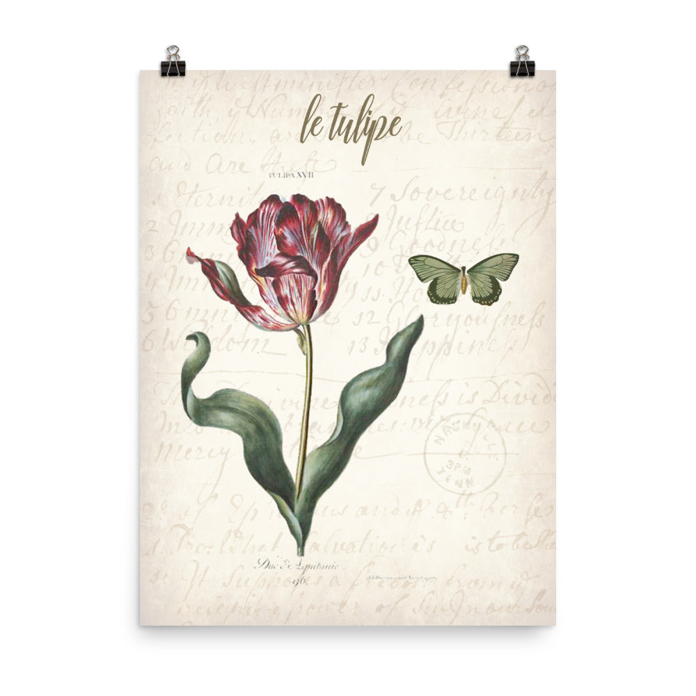 Vintage Tulip Botanical Art
