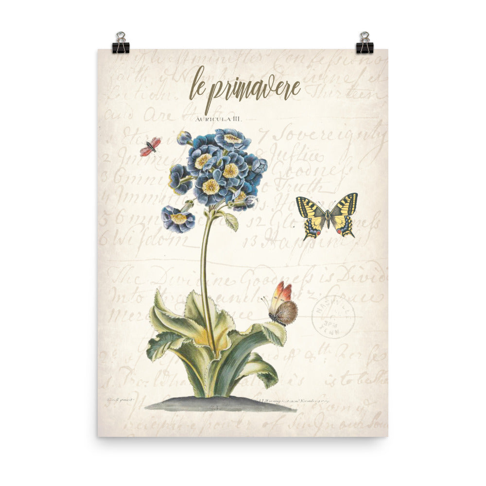 Vintage Primrose Botanical Art