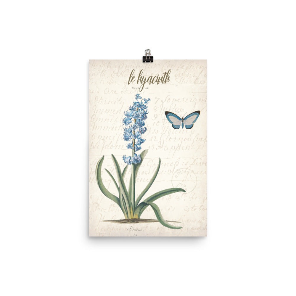 Vintage Hyacinth Botanical Art