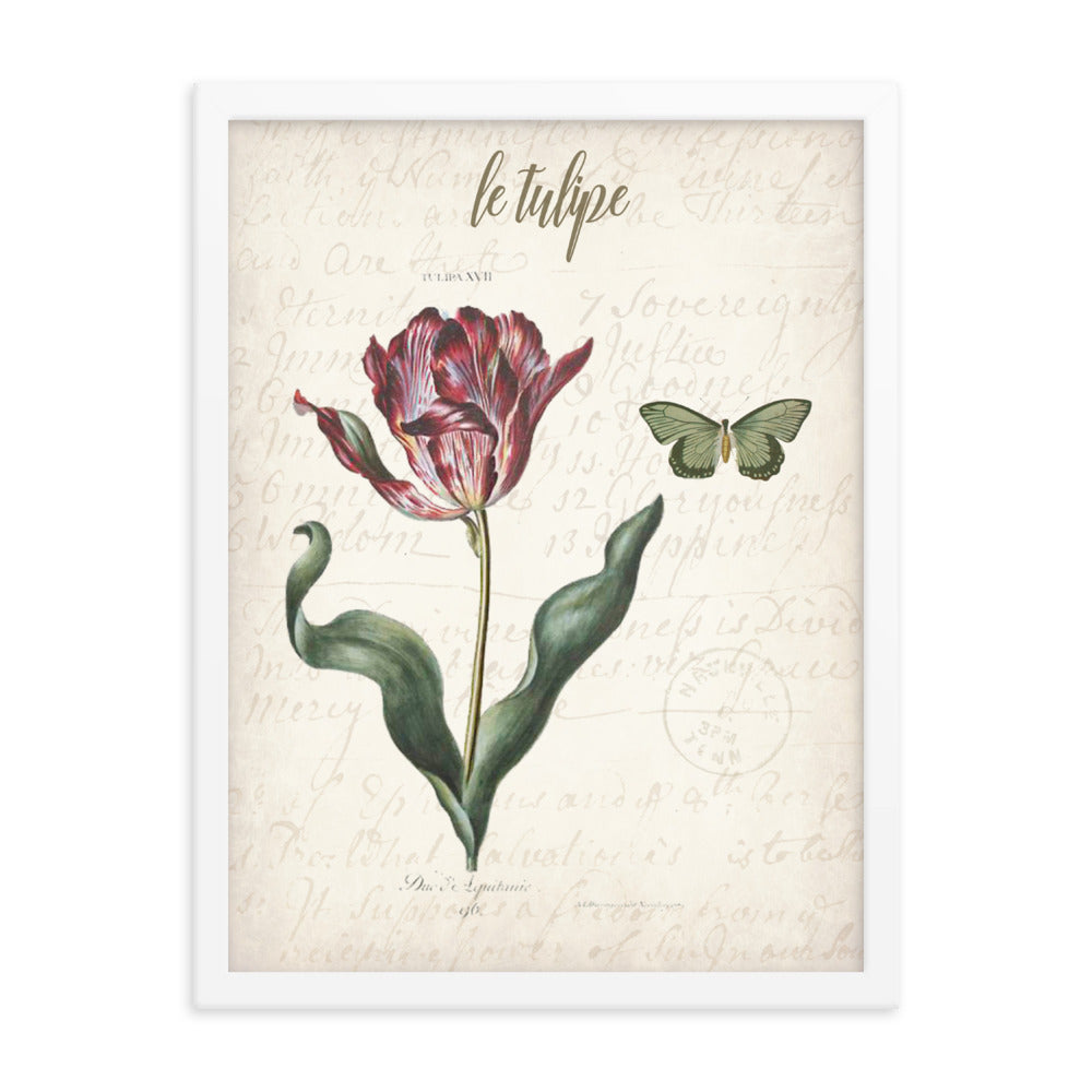 Framed vintage tulip botanical poster