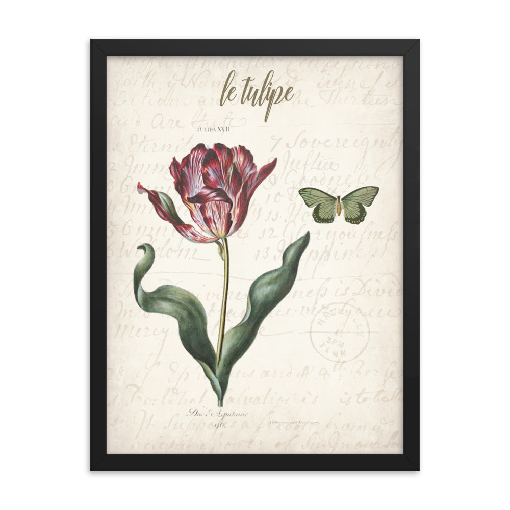 Framed vintage tulip botanical poster
