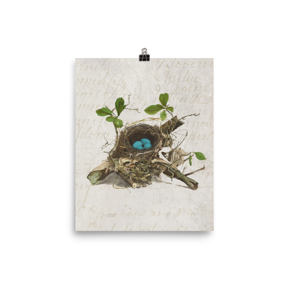 Antique Bird Nest Print