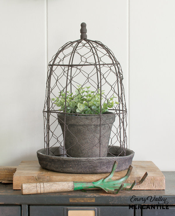 planter with wire cloche