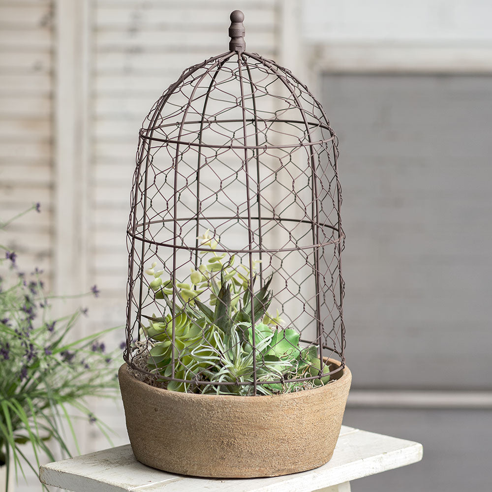 Tall Chicken Wire Cloche with Terra Cotta Base