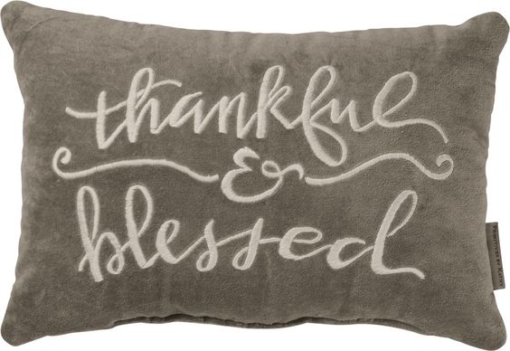 thankful and blessed velvet pillow