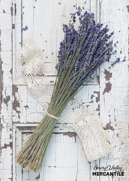 dried lavender bundle bunch bouquet stems