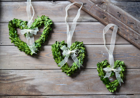 heart shaped preserved boxwood wreath with sheer ivory ribbon