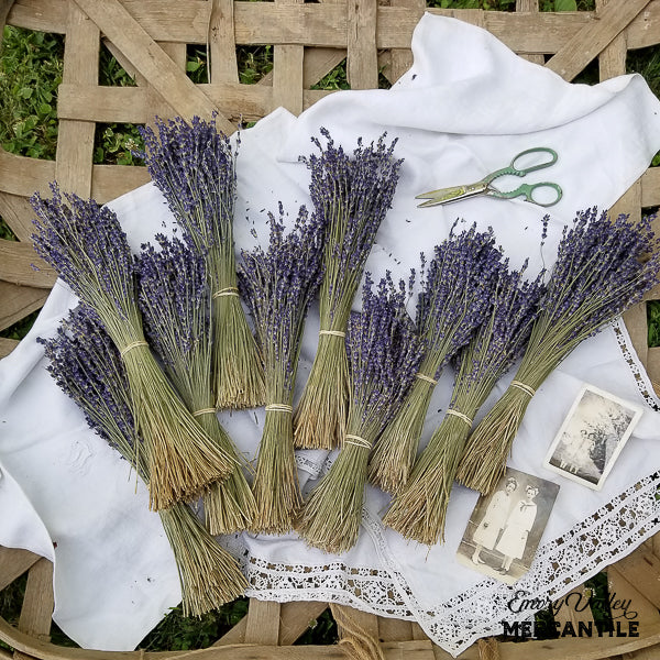 dried lavender bundles