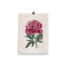 Red Peony Matte Poster