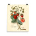 Vintage Botanical Strawberry Illustration Poster