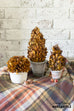 Limited Edition Fall Preserved Boxwood Topiary Cone in Terra Cotta Pot
