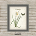 Vintage Narcissus Botanical Printable
