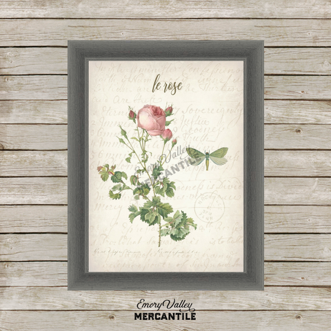 vintage rose botanical art printable