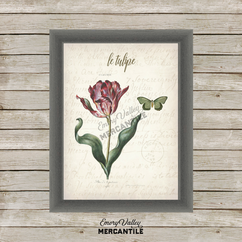 vintage tulip botanical printable