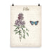 Vintage Lilac Botanical Art