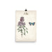 Vintage Lilac Botanical Art
