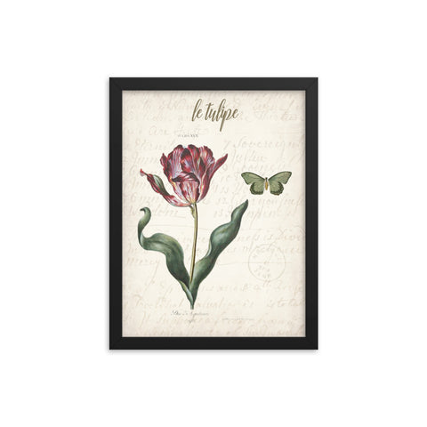 Framed vintage tulip botanical poster