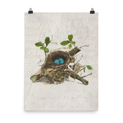 Antique Bird Nest Print