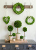 preserved boxwood wreaths and topiaries